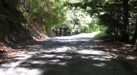 Climbing Tunitas Creek Rd., near the top of the steep section (1600ft)