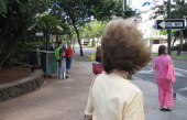 A bad hair day.