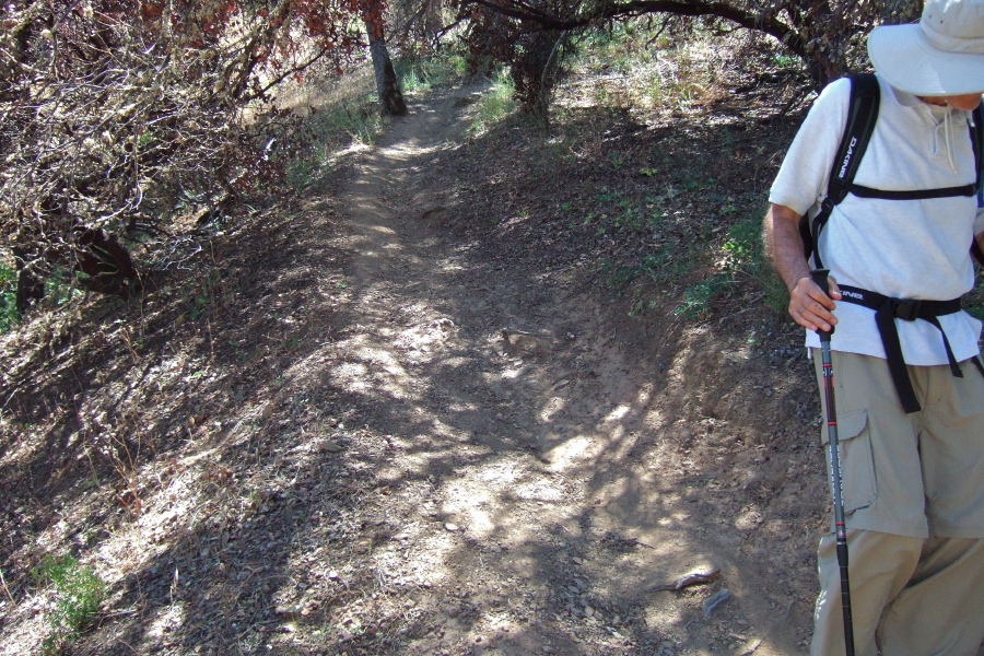 David works his way down a steep part of Middle Ridge Trail.
