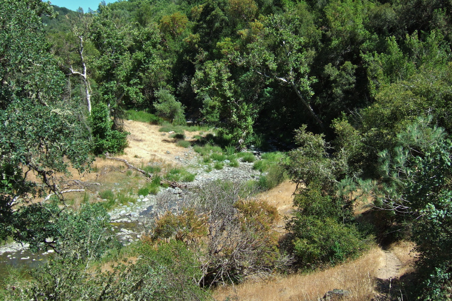 Approaching the confluence of Little Coyote Creek and East Fork Coyote Creek.