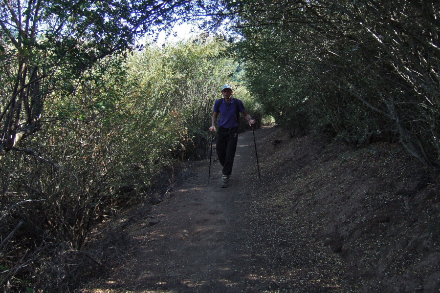 This part of the China Hole Trail passes beneath large shrubs.