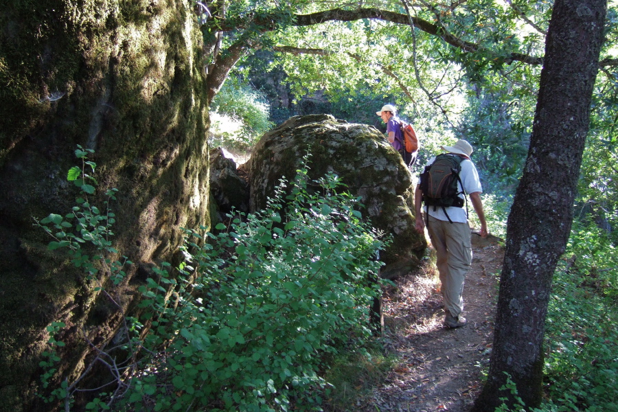 Hiking past some boulders on the Forest Trail