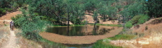 Frog Lake