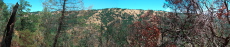 Blue Ridge from Middle Ridge