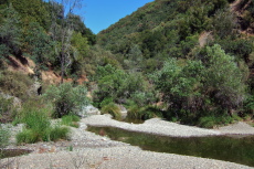 View from China Hole up The Narrows