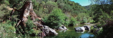 China Hole