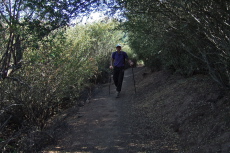 This part of the China Hole Trail passes beneath large shrubs.