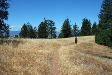 Bill P. returns on the Ponderosa Trail on Pine Ridge.