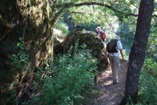 Hiking past some boulders on the Forest Trail