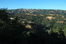 Middle Ridge and Blue Ridge from the Forest Trail.