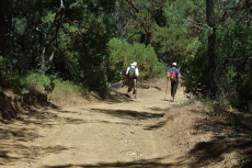 David and Bill P. descend a steep section of Hobbs Road.