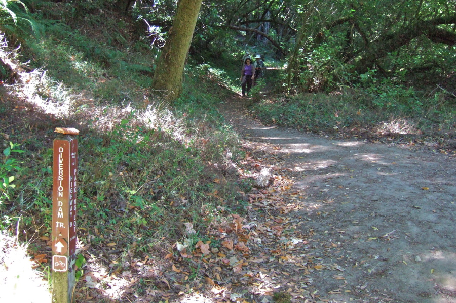 Stella, Frank, and David return to the Rincon Trail.