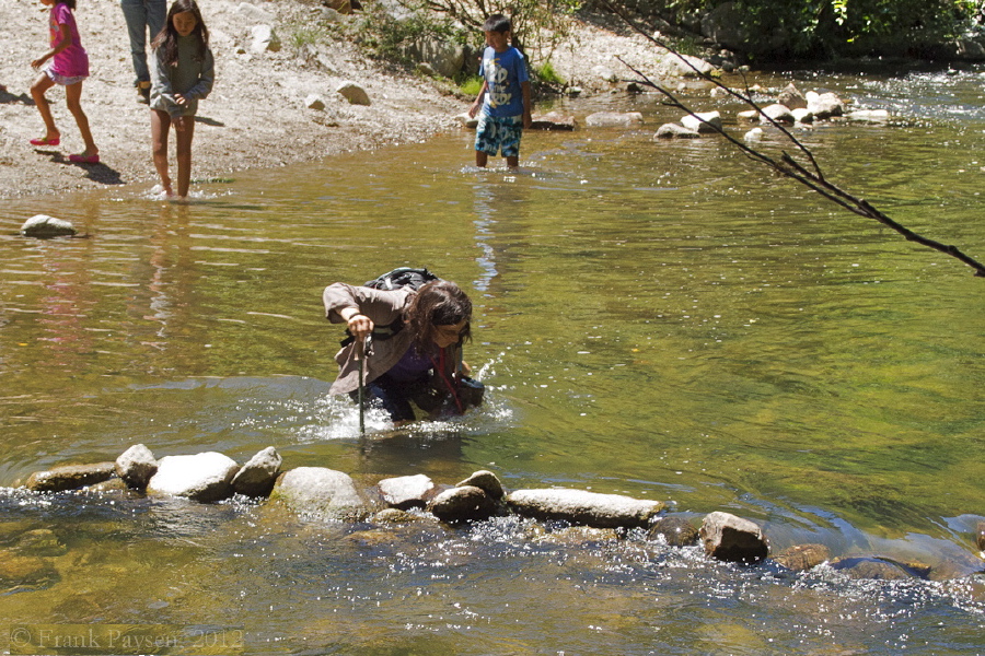 A moment of horror as Stella stumbles on the slippery rocks beneath the surface at the first crossing