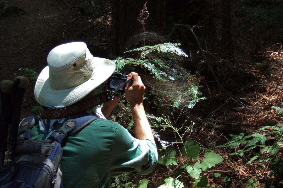 Frank takes a photo of a spider in a web.