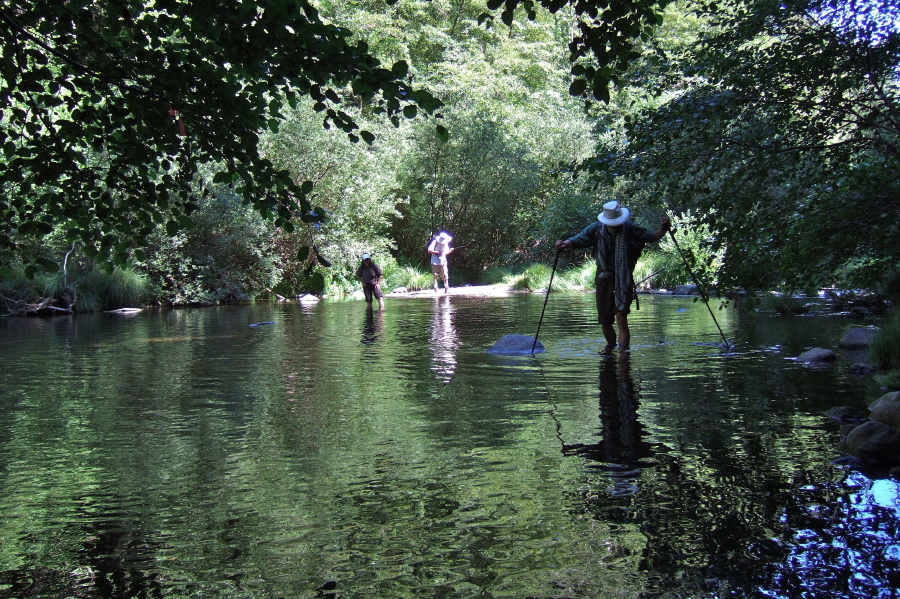 David prepares to cross while Frank and Stella are in the river.