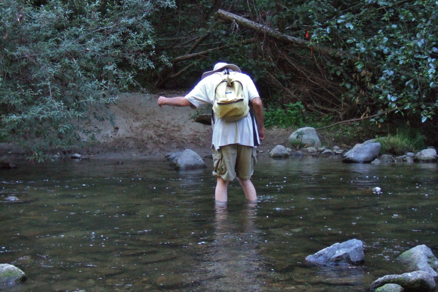David manages the third crossing without sticks.