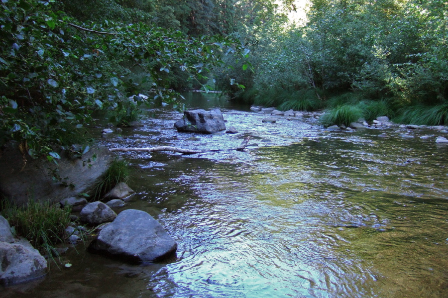 San Lorenzo River at the third crossing