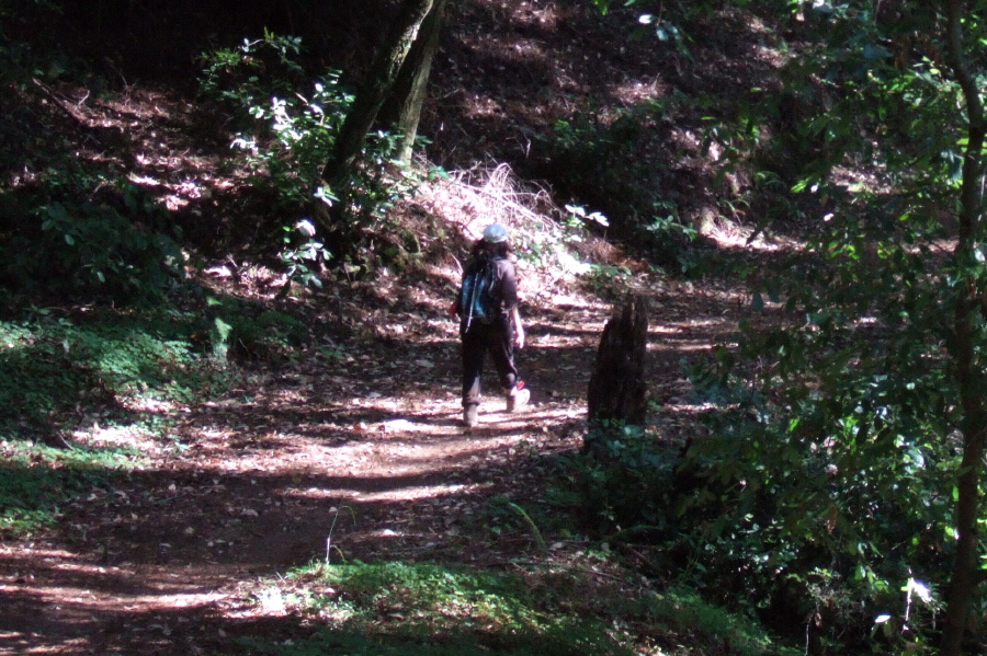 Stella hikes down the Rincon Trail.