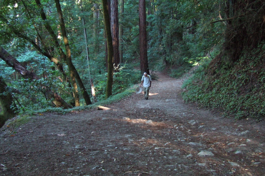 David nears the top of the climb up the Rincon Trail.