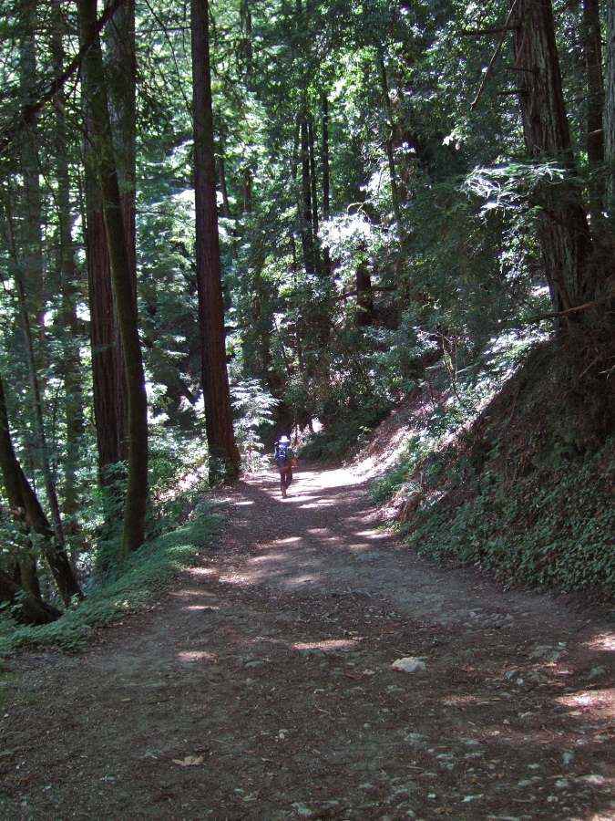 Frank starts down the descent to the San Lorenzo River.