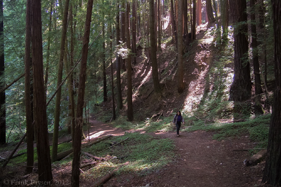 Stella climbs the Diversion Dam Trail.