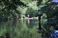 David prepares to cross while Frank and Stella are in the river.