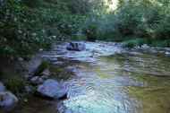 San Lorenzo River at the third crossing