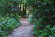 Stella and Frank hike back up the Rincon Trail to the trailhead.