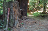 Buckeye trail meets Rincon Trail