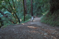 David nears the top of the climb up the Rincon Trail.
