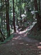 Frank starts down the descent to the San Lorenzo River.