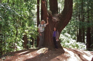 Bill and Stella at the large pine tree on the Rincon Trail