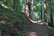Stella and David climb up the Diversion Dam Trail.