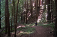 Stella climbs the Diversion Dam Trail.