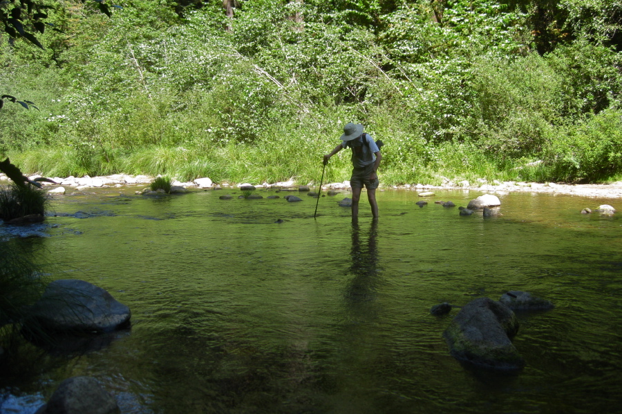 Bill crosses the western crossing.