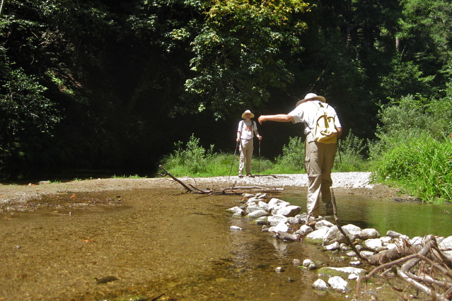 David attempts the crossing without sticks.