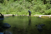Bill crosses the western crossing.