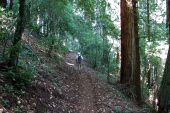 Frank hikes up the Big Rock Hole Trail.