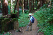 Frank ponders a stump on the River Trail.