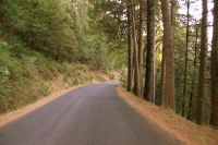 Mather Rd. (4200ft)