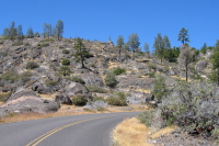Mather Rd. near Poopenaut (5000ft)