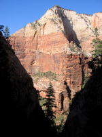 Previous
