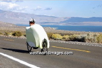 CA120 near Mono Lake