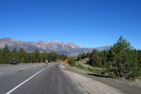Previous
