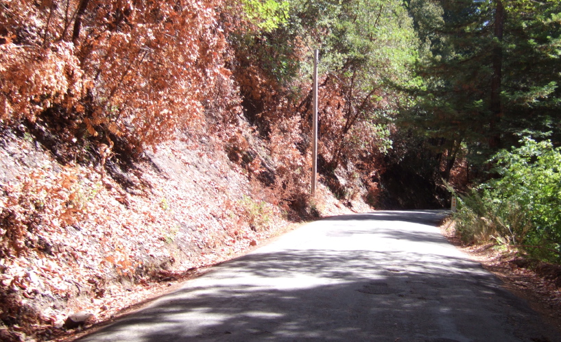 The burning was sporadic.