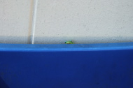 Who's this peeking at me?