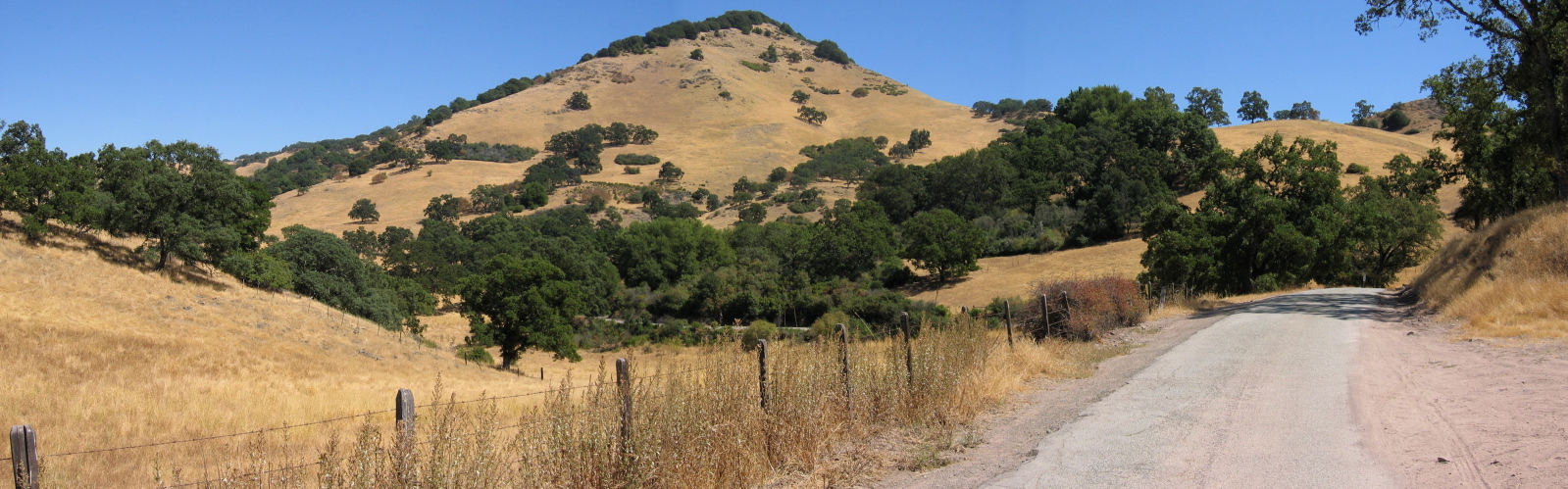 Henrietta Peak (3626ft) from Lone Pine Rd. (2540ft)