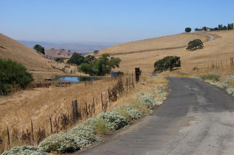 View riding down Comstock Rd. (520ft)