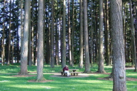 Previous