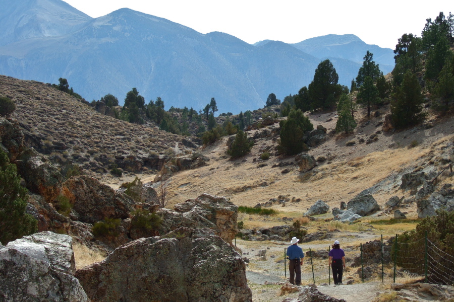Frank and Stella take a stroll up Hot Creek Gorge.